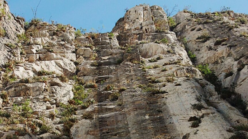 Descubre los secretos de los fósiles en la charla “Autopsia de Fósiles Mexicanos”