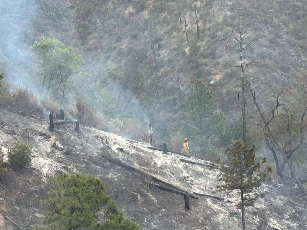 Vuelca camioneta en Nuevo León y deja 12 muertos; incidente provoca incendio forestal