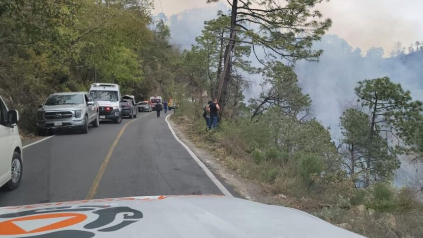 Vuelca camioneta en Nuevo León y deja 12 muertos; incidente provoca incendio forestal