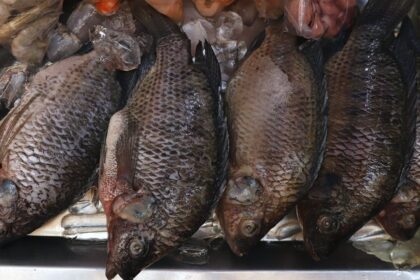 Supervisa Salud venta de mariscos; Exhortan a comprar en lugares establecidos