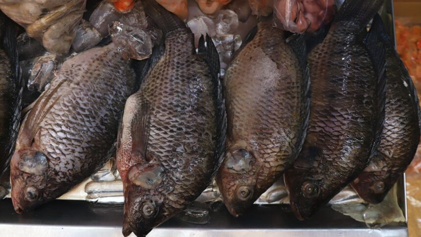 Supervisa Salud venta de mariscos; Exhortan a comprar en lugares establecidos