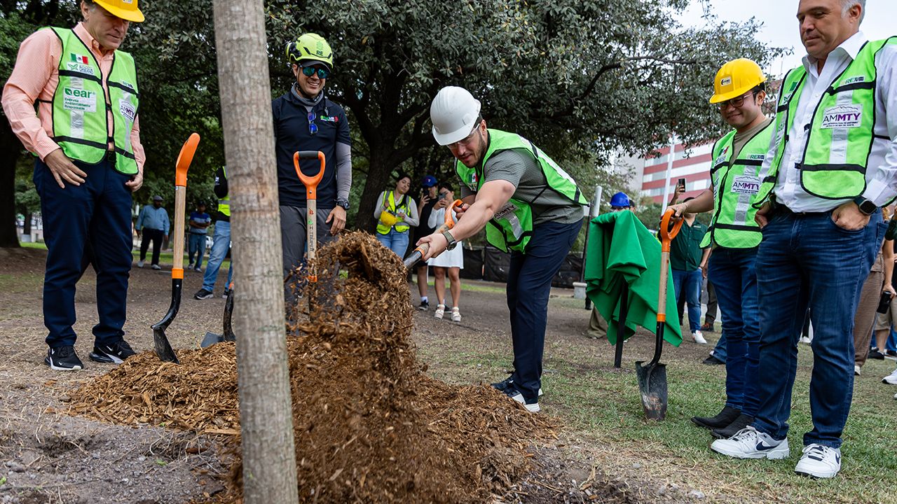 Samuel García anunció que Nuevo León ya suma 650 mil árboles plantados en tres años