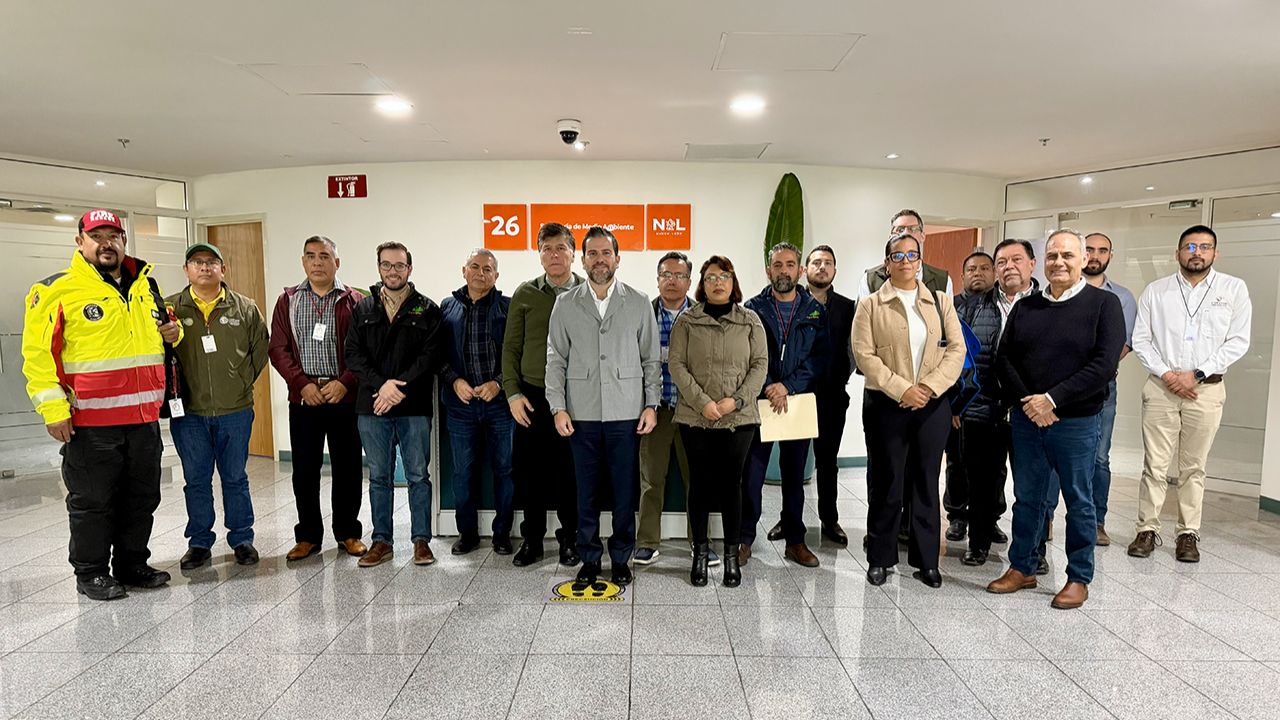 Activan plan estatal y federal contra plaga forestal en NL