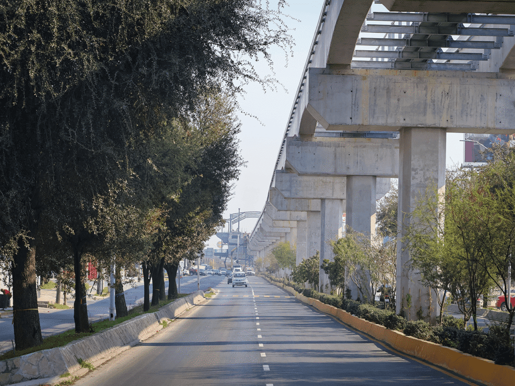 Bosques Ciudadanos transforma el Centro de Monterrey en verde