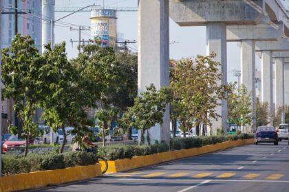 Bosques Ciudadanos transforma el Centro de Monterrey en verde