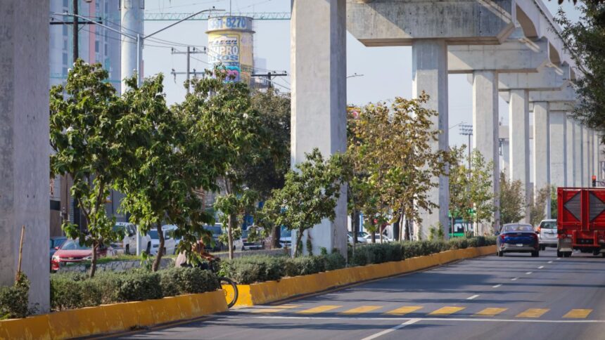 Bosques Ciudadanos transforma el Centro de Monterrey en verde