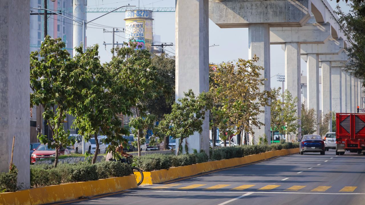 Bosques Ciudadanos transforma el Centro de Monterrey en verde