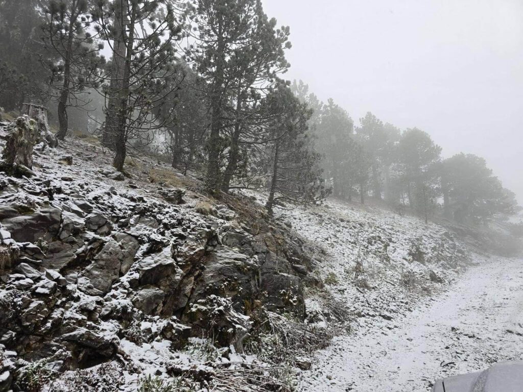 Cae nieve en Galeana por el Frente Frío 27 en Nuevo León