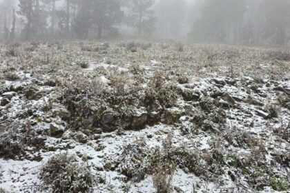 Cae nieve en Galeana por el Frente Frío 27 en Nuevo León