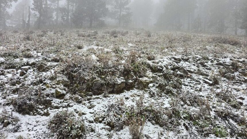 Cae nieve en Galeana por el Frente Frío 27 en Nuevo León