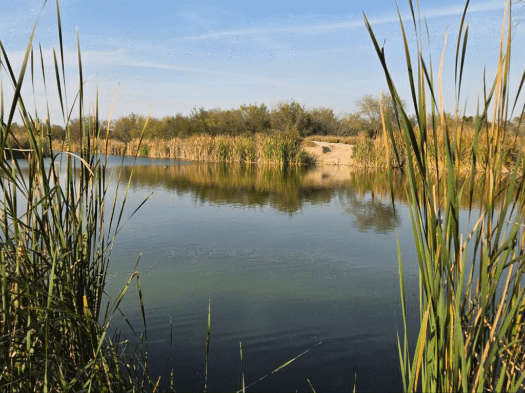 Inspecciona División Ambiental reportes de afectaciones en humedales de Zuazua