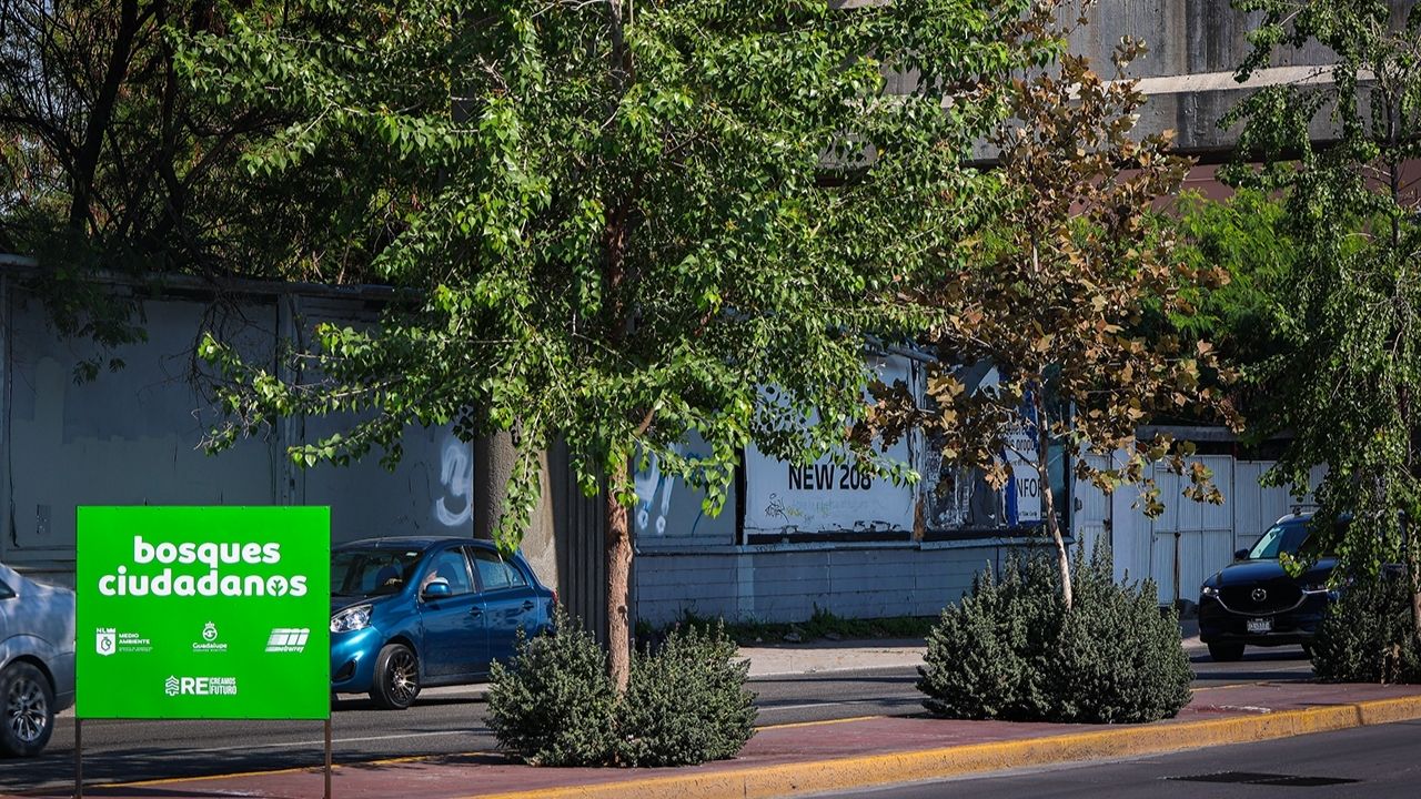 Nuevo León avanza en espacios verdes y aire más limpio