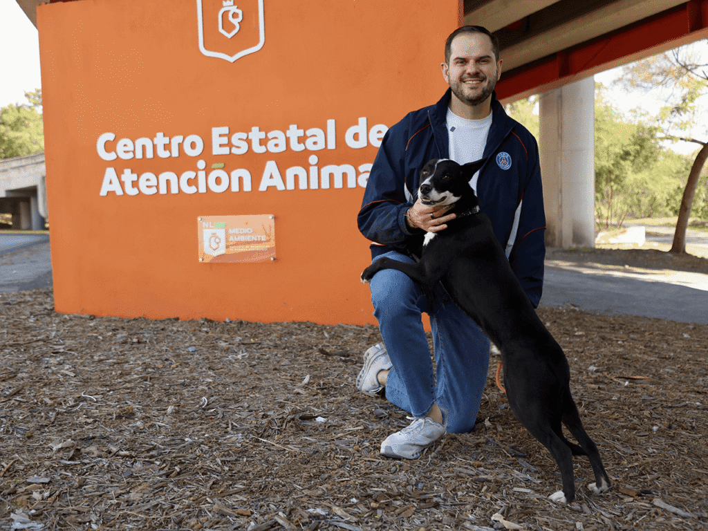Voluntarios pasean perritos en adopción en Nuevo León