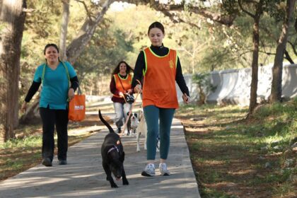 Voluntarios pasean perritos en adopción en Nuevo León