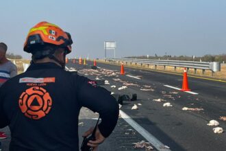 Accidente en Cadereyta deja un lesionado en autopista
