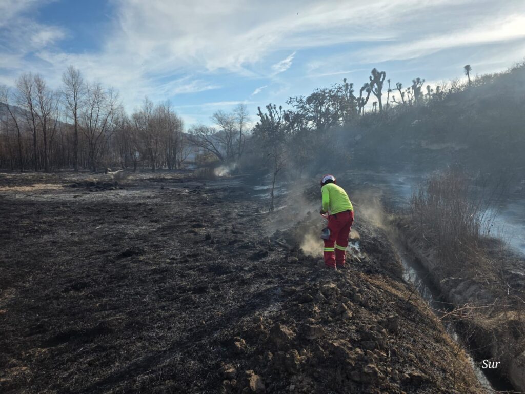 Controlan incendio forestal en ejido Tuxpan, Galeana