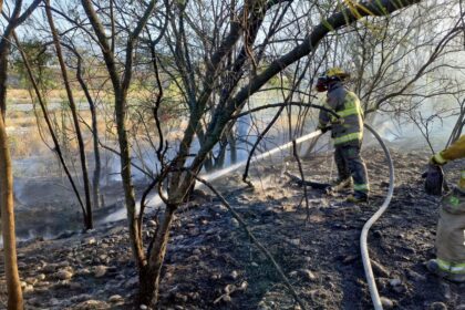 Incendio consume maleza en Río Santa Catarina en Monterrey