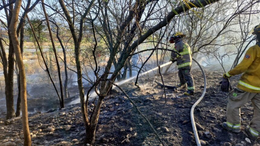 Incendio consume maleza en Río Santa Catarina en Monterrey