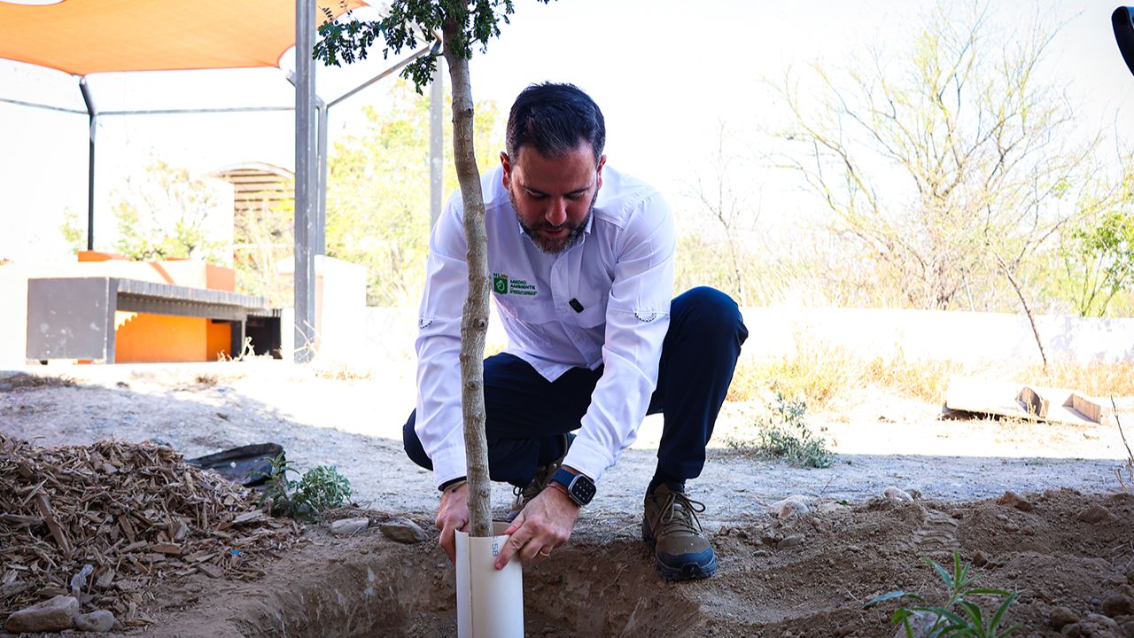 Secretaría de Medio Ambiente planta árboles en CECyTE García II
