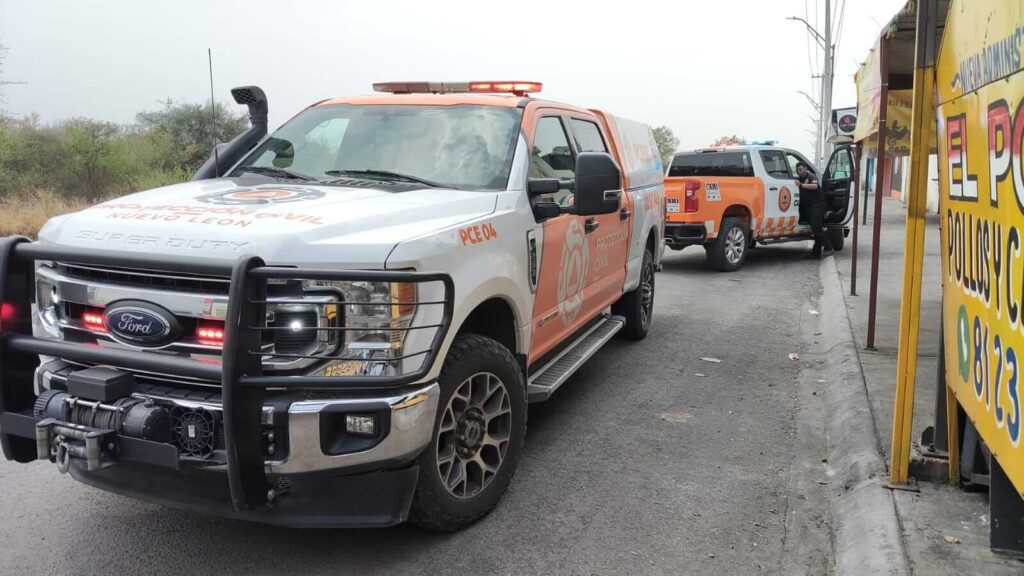 Ataque de abejas en Guadalupe deja 4 lesionados, tres son menores