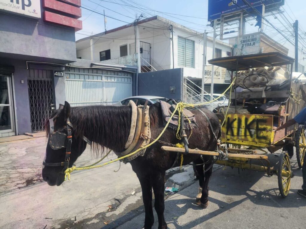 Detienen a hombre por golpear a su caballo en Monterrey