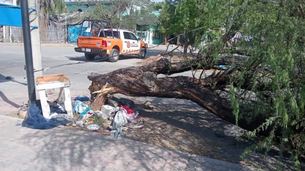 Frente frío 41 azota Nuevo León con ráfagas de hasta 100 km/h