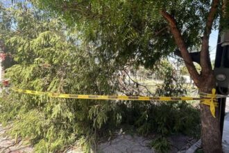 Frente frío 41 azota Nuevo León con ráfagas de hasta 100 km/h