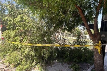Frente frío 41 azota Nuevo León con ráfagas de hasta 100 km/h