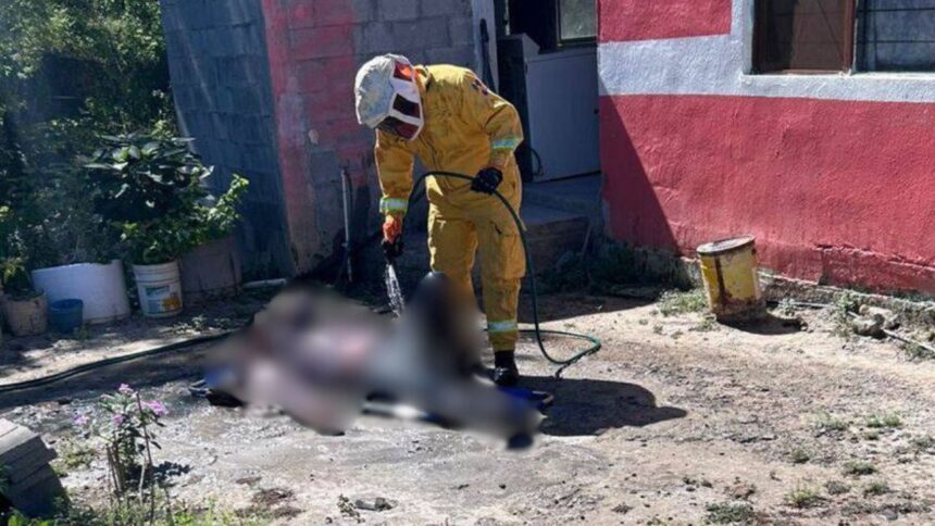 Ataque de abejas deja a hombre grave en General Terán