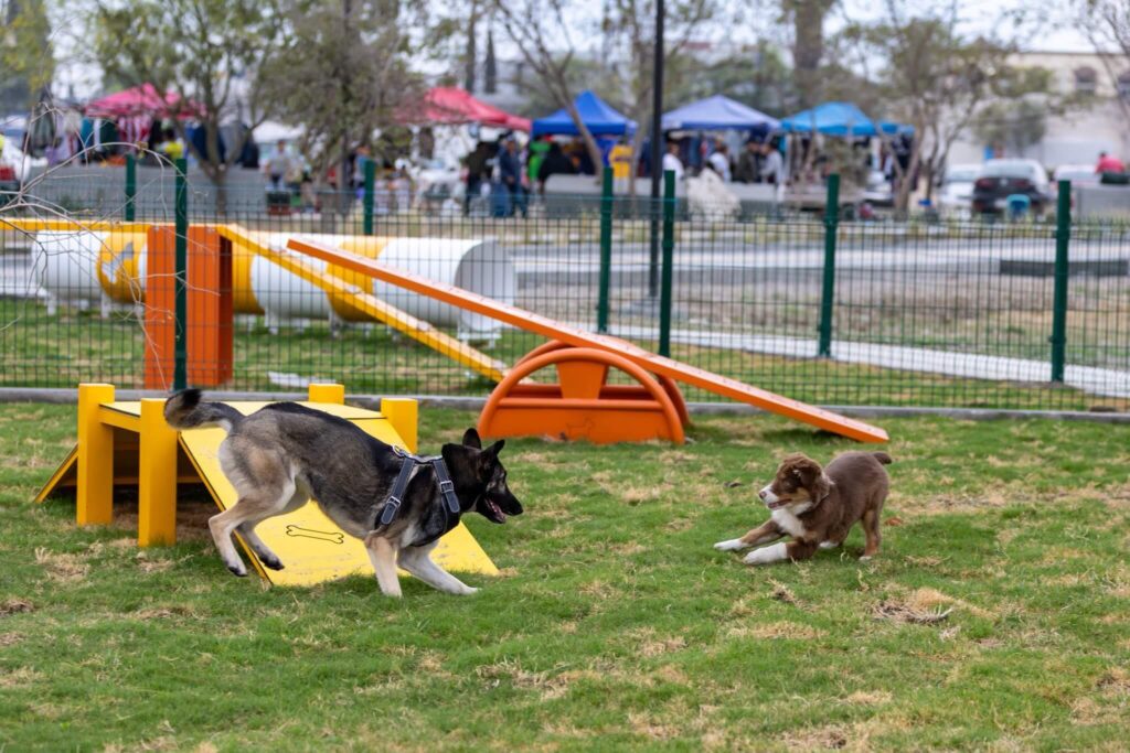 Samuel García inaugura primera etapa del Parque Libertad