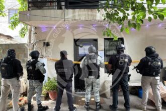 Aseguran más de 581 kilos de droga en la colonia Independencia