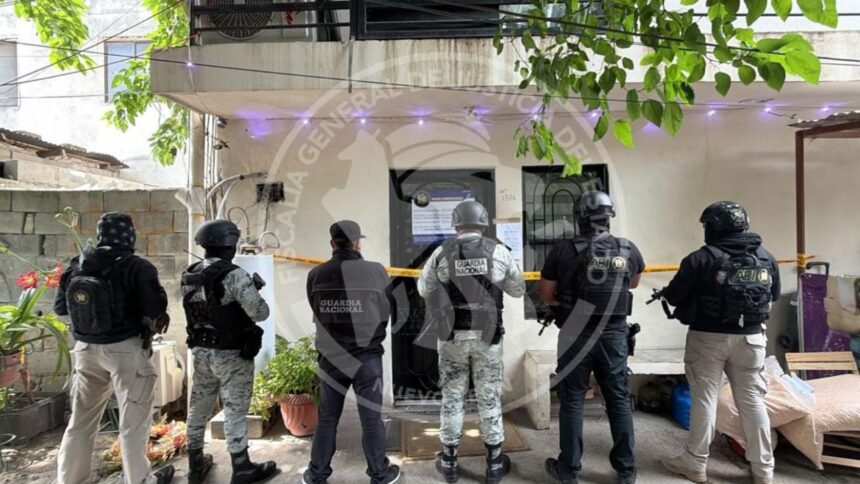 Aseguran más de 581 kilos de droga en la colonia Independencia