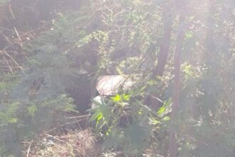 Vuelca vehículo en carretera a García; menor resulta ileso