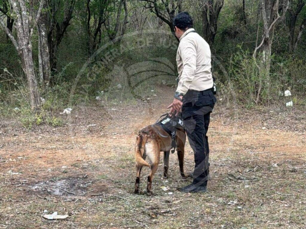 Operativo en presa de Linares por posibles restos humanos