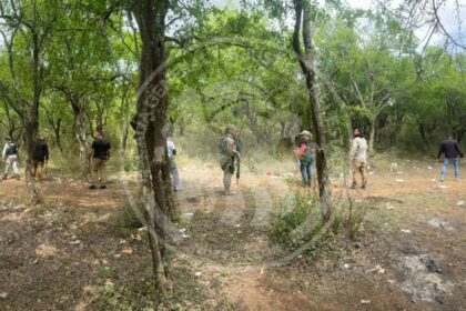 Operativo en presa de Linares por posibles restos humanos