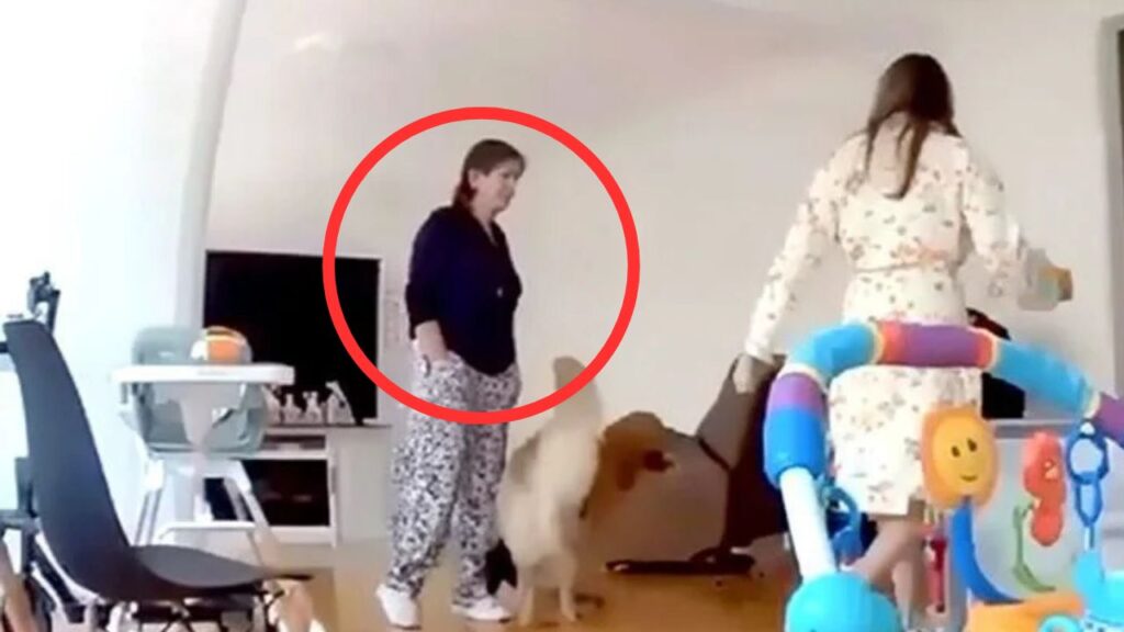 Feminicidio en Carolina Flores; revelan video del caso