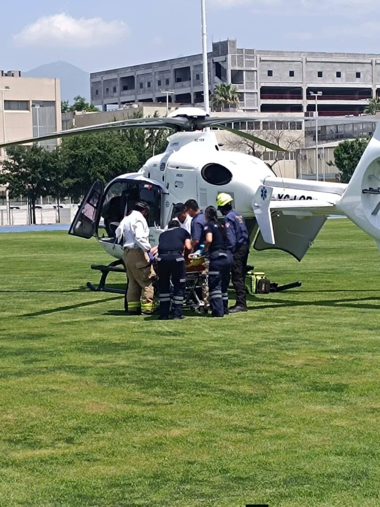 Ataque de abejas deja un muerto y dos lesionados en Santiago