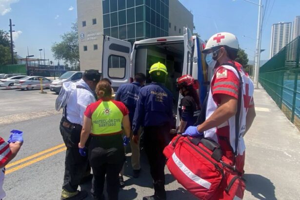 Ataque de abejas deja un muerto y dos lesionados en Santiago