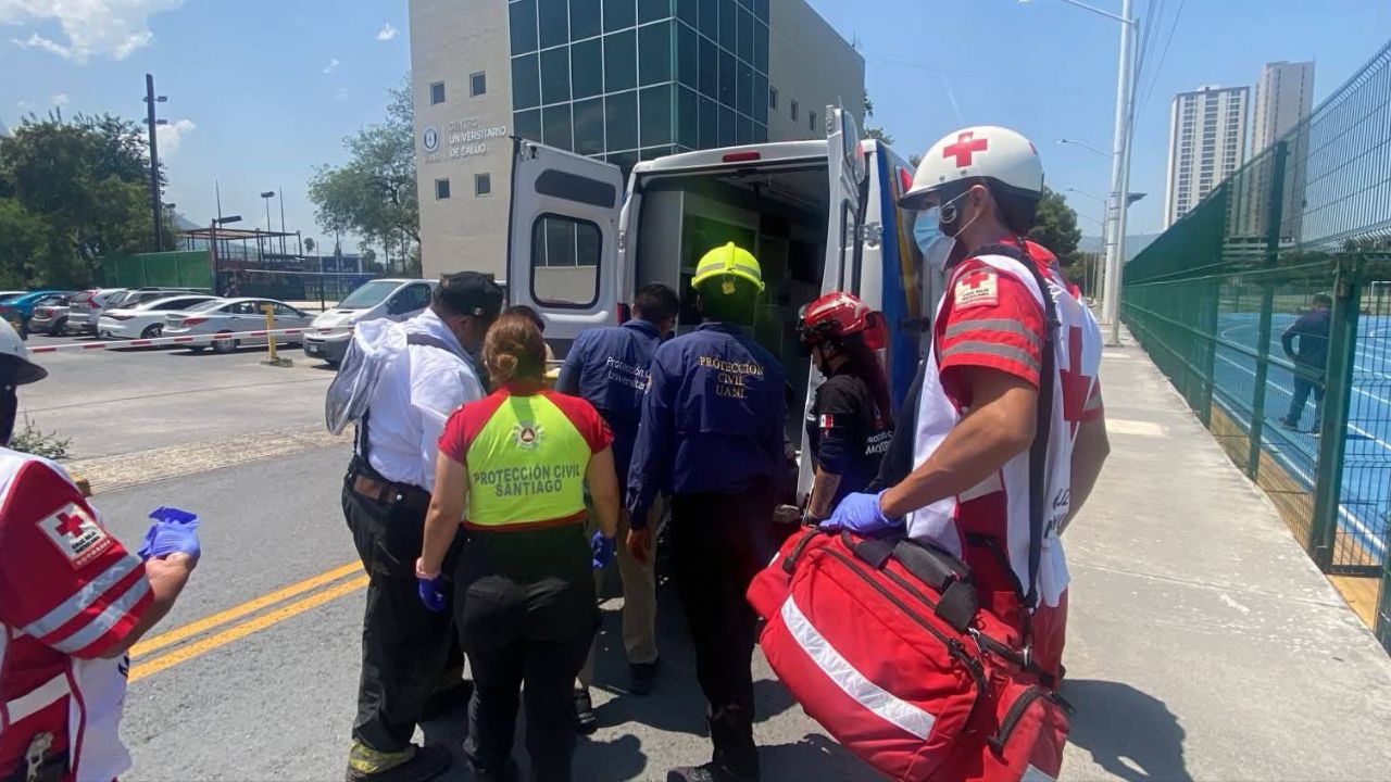Ataque de abejas deja un muerto y dos lesionados en Santiago