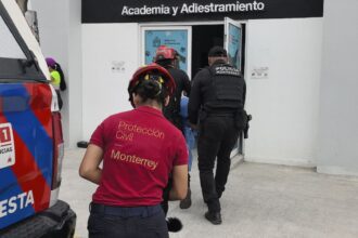 Ataque de abejas deja 8 personas lesionadas y 3 perros afectados en Monterrey