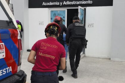 Ataque de abejas deja 8 personas lesionadas y 3 perros afectados en Monterrey