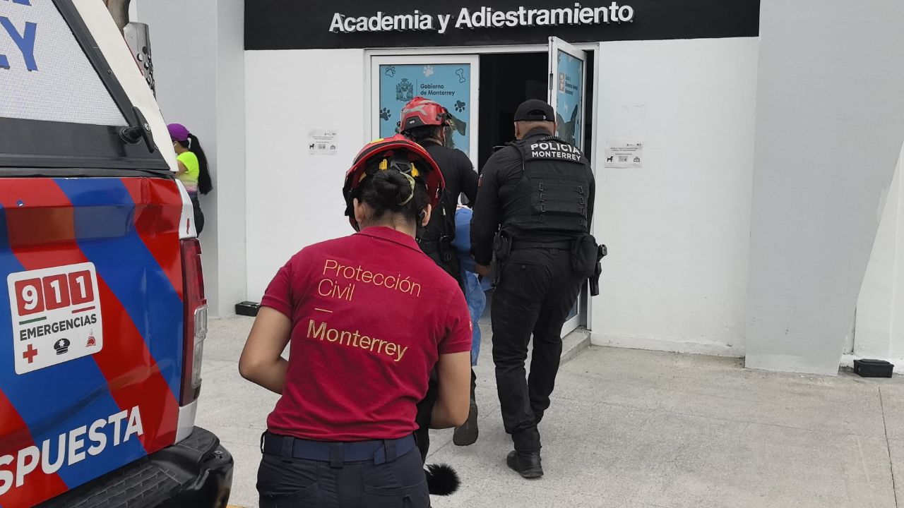 Ataque de abejas deja 8 personas lesionadas y 3 perros afectados en Monterrey