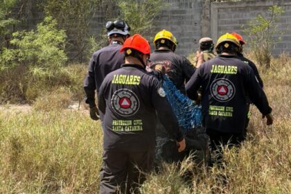 Capturan oso cerca de escuela en Santa Catarina