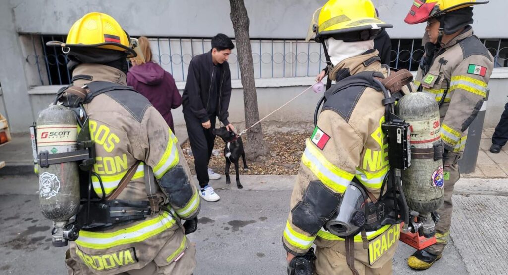 Incendio en veterinaria de San Pedro moviliza cuerpos