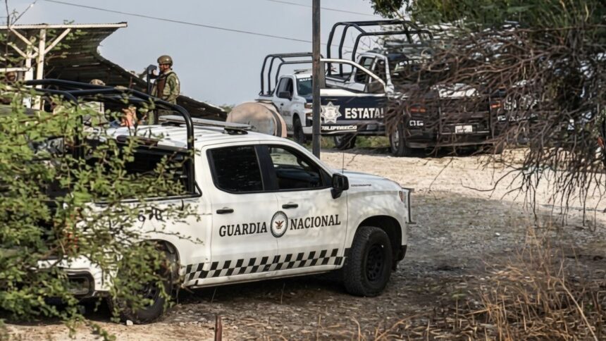 Comando armado asesina a 10 integrantes de una familia en Tehuitzingo en Puebla