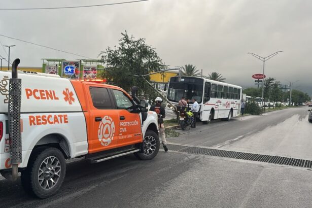 Camión de personal choca contra árboles en el sector Jardines de Andalucía, Guadalupe