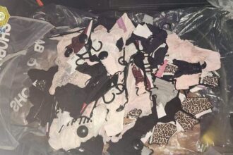 Detienen a adolescente de 15 años por presunto robo de ropa de lujo en CDMX