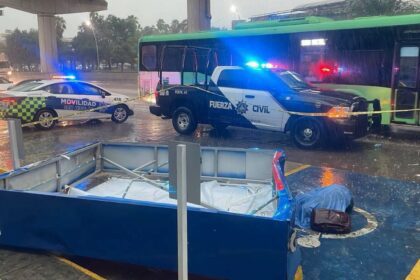 Identifican a mujer que murió tras desplome de panorámico en San Nicolás
