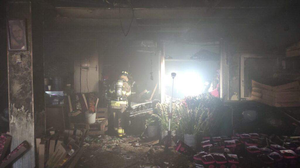 Cortocircuito provoca incendio en florería Distribuidora y Follajes La Loma del Centro de Monterrey