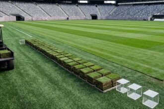 FIFA vende fragmentos del pasto de la Final del Mundial 2026: precio, qué incluyen y cómo comprarlos